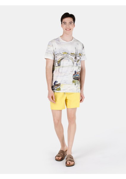 Çok Renkli Erkek Tshirt K.kol modelleri
