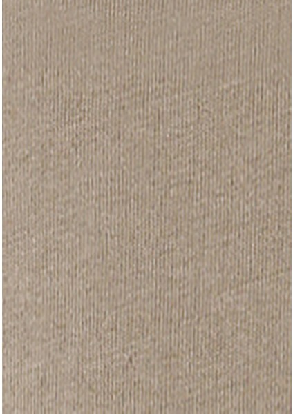 Regular Fit Yuvarlak Yaka Erkek Gri Kısa Kol Tişört Cl1068195