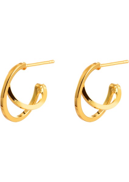 Niş Mizaç Metal Küpe Trendi Yüz Eşleşen Tasarım Kişilik Küpeleri (Yurt Dışından)