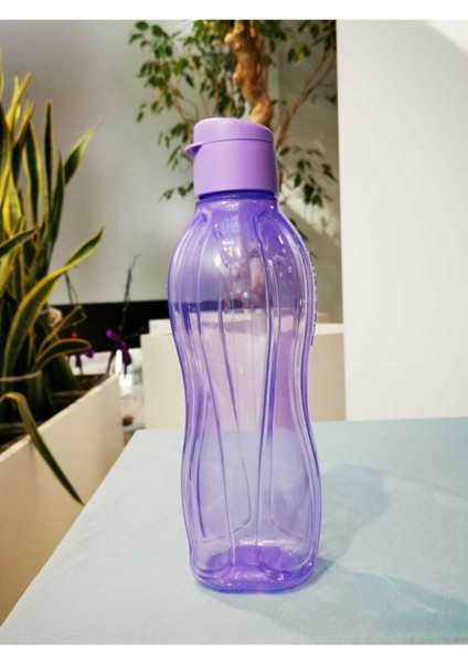 500 ml şeffaf paslanmaz çelik suluk, hafif ve dayanıklı, sağlıklı kullanım için ideal