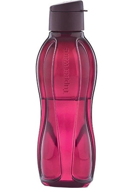 750 ml Bordo Şişe, Pratik ve Şık Eko Tasarım