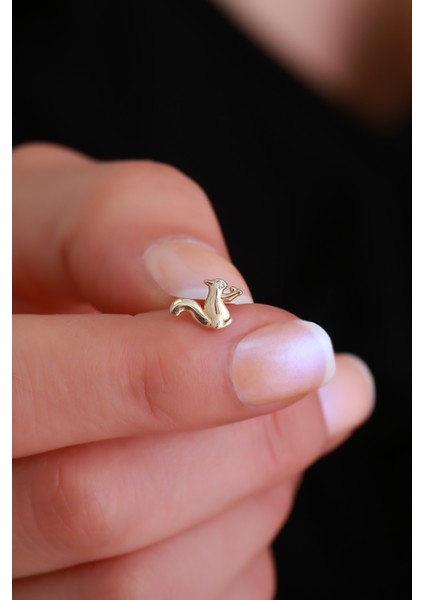 14 Ayar Altın Sincap Tragus Piercing