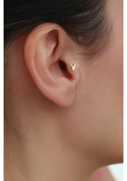 14 Ayar Altın Sincap Tragus Piercing