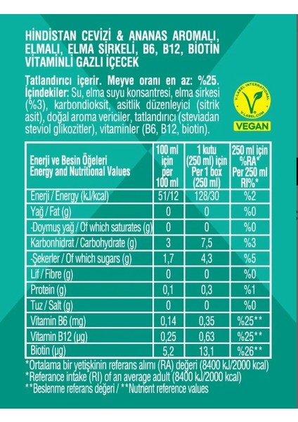 Hindistan Cevizi & Ananas Aromalı Sirkeli Gazlı Içecek 250 ml x 12 Adet (Koli)