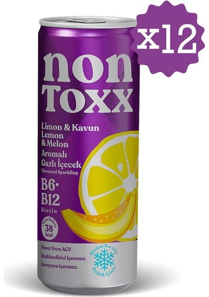 Limon & Kavun Aromalı Sirkeli Gazlı Içecek 250 ml x 12 Adet (Koli)