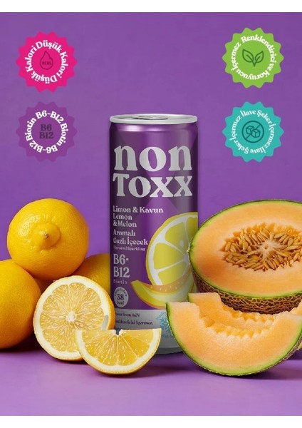Limon & Kavun Aromalı Sirkeli Gazlı Içecek 250 ml x 12 Adet (Koli)