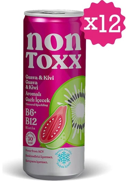 Guava & Kivi Aromalı Sirkeli Gazlı Içecek 250 ml x 12 Adet (Koli)