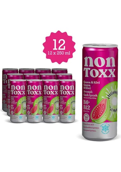 Guava & Kivi Aromalı Sirkeli Gazlı Içecek 250 ml x 12 Adet (Koli) fiyatları