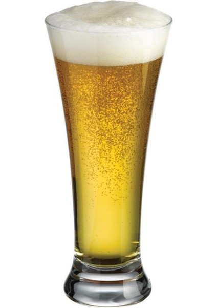 42199 Pub Bira Bardağı 6'lı 320 cc
