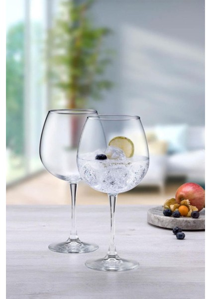 Enoteca Şarap Kadehi 6 Lı 44248