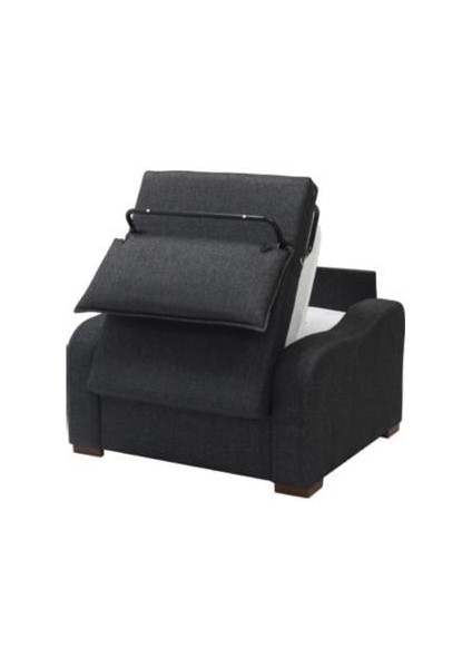 R250 Hera Tekli Somya Refakatçi Koltuğu modelleri