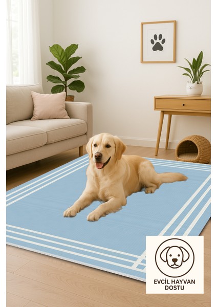 Lofy Halı Açık Mavi Beyaz Kenarlı Modern Halı Yıkanabilir 160X230 indirimleri