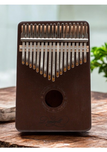 Kalimba Full Set -Hediye Paketi - Stand- Sarkı Notaları