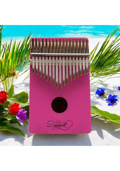 Kalimba Full Set -Hediye Paketi - Stand- Sarkı Notaları