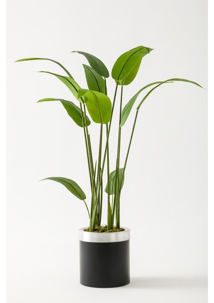 Yapay Starliçe Ağacı 120 cm Siyah Gümüş Saksı