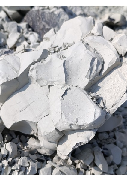 Yenilebilir Kil Zeolitli Beyaz Inci indirimleri