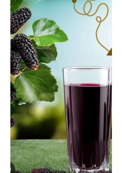 Karadut Aromalı Toz İçecek fiyatları