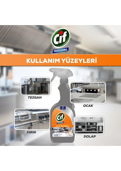 Profesyonel Güçlü Yağ Çözücü Sprey 750 ml fiyatları
