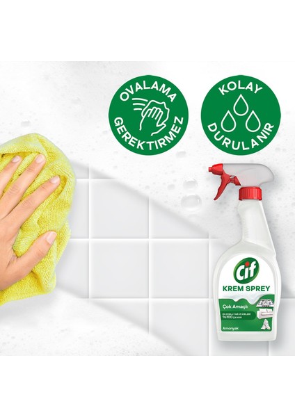 Sprey Çok Amaçlı Amonyak Yağ ve Kir Çıkarıcı 750 ml