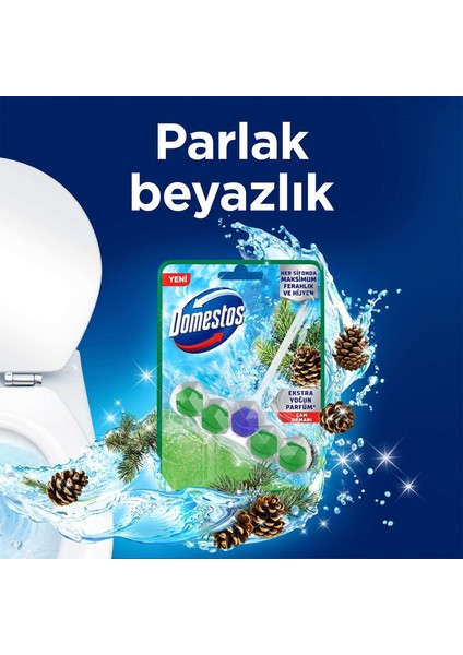 Wc Blok 5'li Güç Çam Ferahlığı 50 gr fırsatları