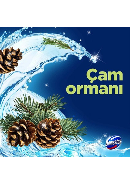 Wc Blok 5'li Güç Çam Ferahlığı 50 gr indirimleri