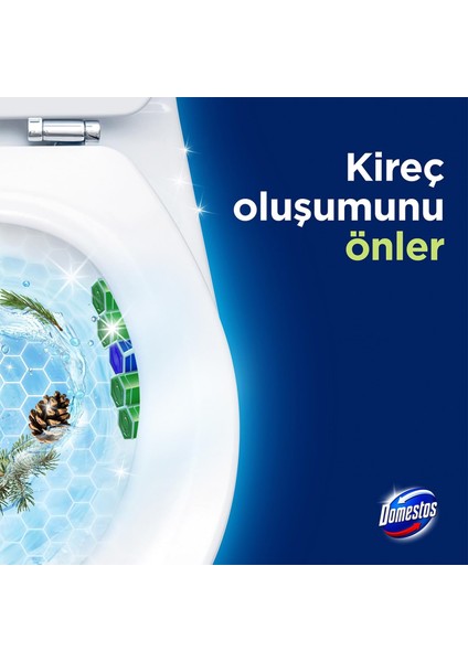 Wc Blok 5'li Güç Çam Ferahlığı 50 gr