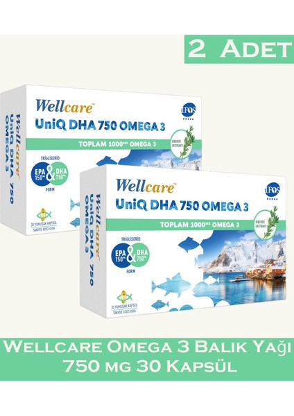 Wellcare Omega 3 Balık Yağı 750 Mg 30 Kapsül 2 Adet