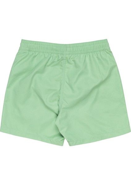 ALL DAY LB Yeşil Unisex Deniz Şortu fiyatları