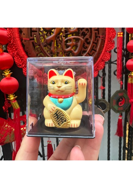 Çağıran Kedi Maneki Neko