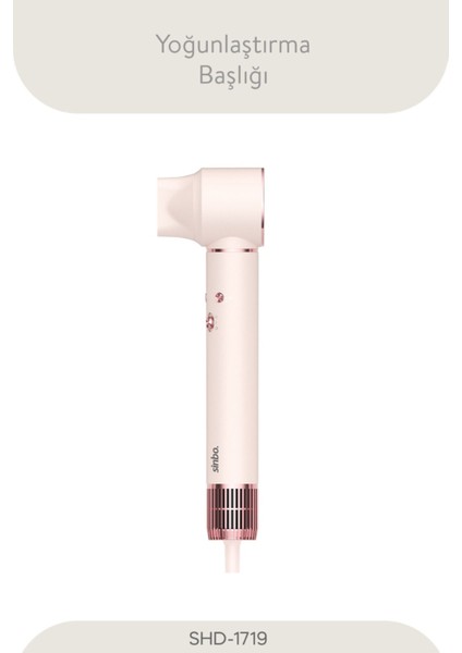 Pro Compact Uzun Multi-Styler Hava Üfleme 5in1 Saç Şekillendirici Bldc Motor SHD-1719