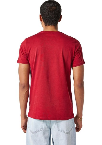 Galatasaray 25 Şampiyonluk T-Shirt - E251351-2 modelleri