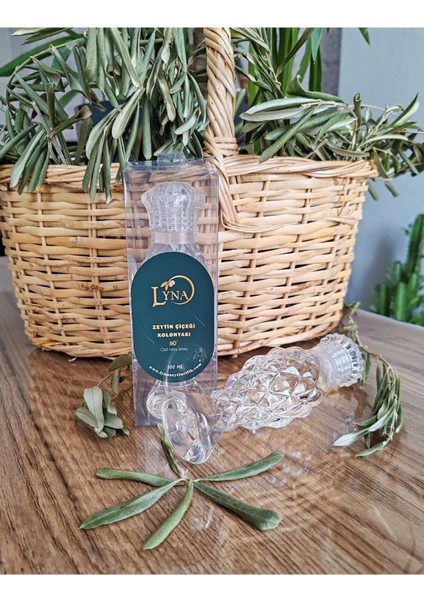 Set 4-4'lü Set (KOLONYA-MUM-SABUN-ZEYTİNYAĞI)-->[100 ml Kolonya ve 500 ml Yeşil Şişe Zeytinyağı Ile] fırsatları