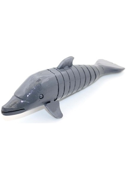 Ahşap Sallanan Balık