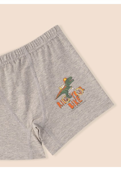 Erkek Çocuk Organik Pamuklu Likralı Boxer Ride Your Bike 6'lı Paket modelleri