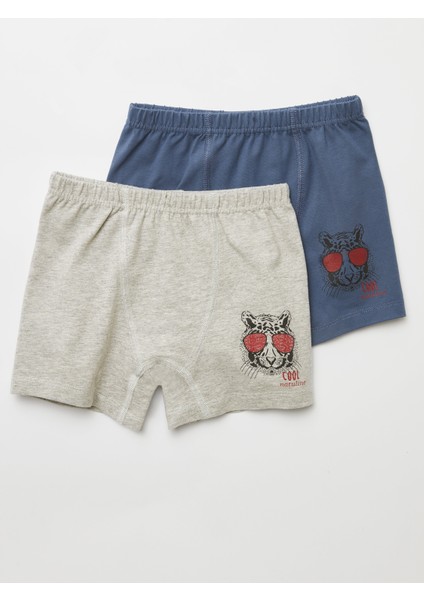 Erkek Çocuk Organik Pamuklu Likralı Boxer Cool Tiger 4'lü Paket fiyatları