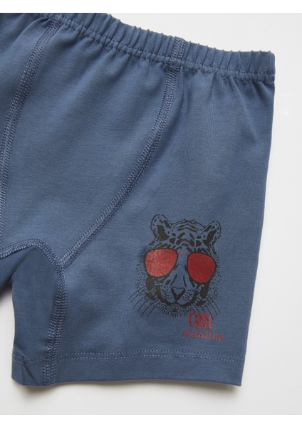 Erkek Çocuk Organik Pamuklu Likralı Boxer Cool Tiger 4'lü Paket modelleri