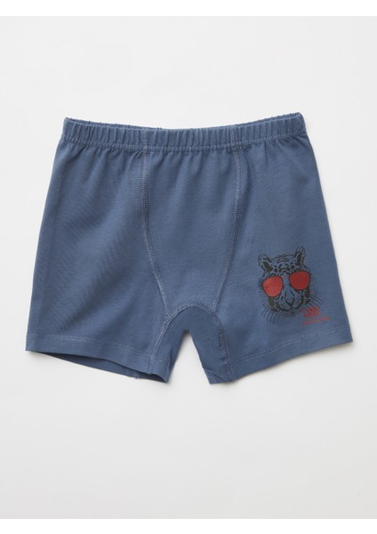Erkek Çocuk Organik Pamuklu Likralı Boxer Cool Tiger 4'lü Paket fırsatları