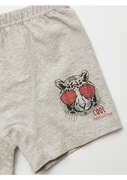 Erkek Çocuk Organik Pamuklu Likralı Boxer Cool Tiger 4'lü Paket indirimleri