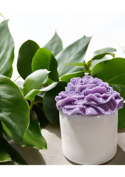 'bloom Candles' Serisi 2 - Dekoratif Lila Şakayık Çiçekli Blok Mum fiyatları