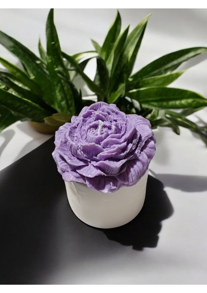 'bloom Candles' Serisi 2 - Dekoratif Lila Şakayık Çiçekli Blok Mum modelleri