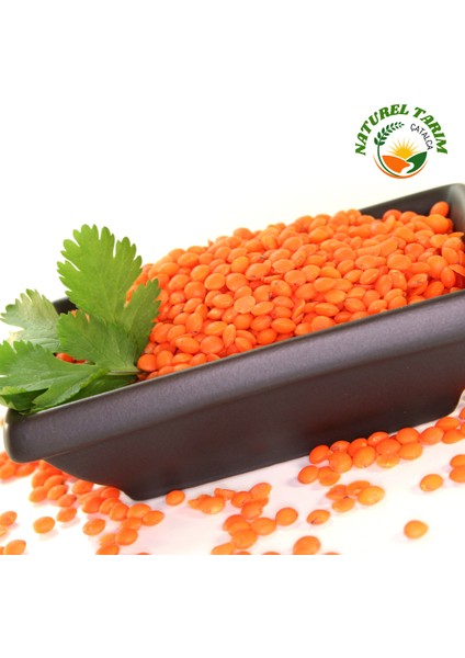 Naturel Yerli Kırmızı Mercimek fiyatları