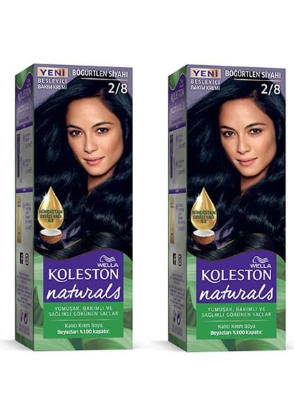 Naturals Saç Boyası Böğürtlen Siyahı 2/8 2x Paket