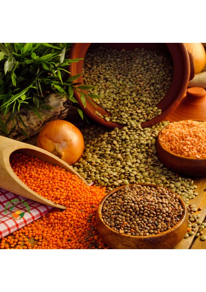 Naturel Yerli Yeşil Mercimek