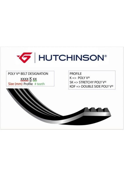 1090 Sk 6 Kanallı Kayış C2-C3-C4-P207-P307 1.4 1.6 Hdı