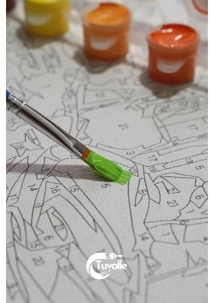 Beyazın Melodisi Sayılarla Boyama Seti, Hobi Seti, 40X50 Tablo, Fırça Boya, Numaralı Tuval fırsatları