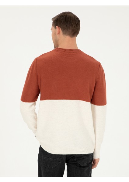 Erkek Kiremit Slim Fit Bisiklet Yaka Baklava Desenli Triko Kazak 50292568-VR031