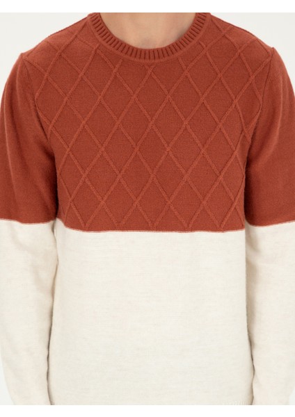 Erkek Kiremit Slim Fit Bisiklet Yaka Baklava Desenli Triko Kazak 50292568-VR031
