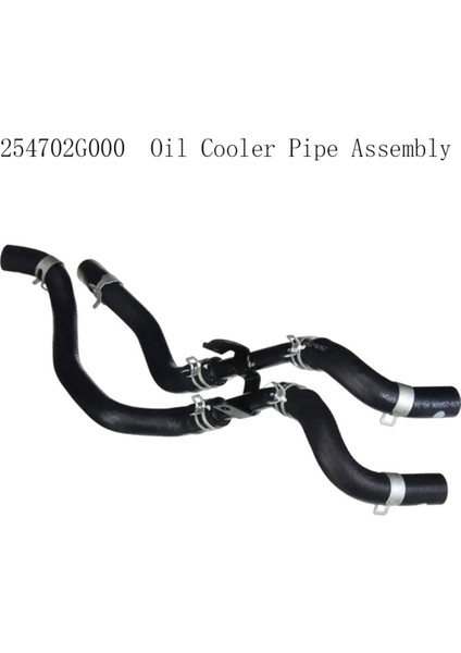 Modern Azera Için 254702G000 Boru Tertibatı (Yurt Dışından) fırsatları