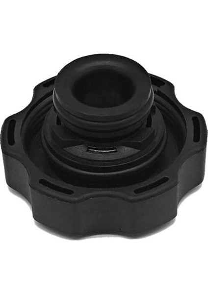 2 Adet H2 Için Radyatör Kapağı (Yurt Dışından)