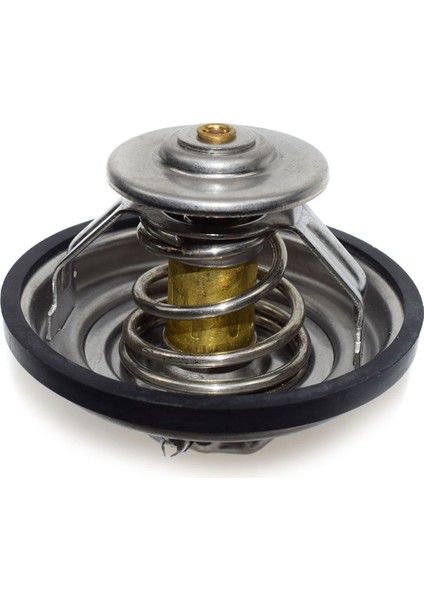 A6 A4 S4 Için Motor Soğutma Suyu Termostatı (Yurt Dışından)